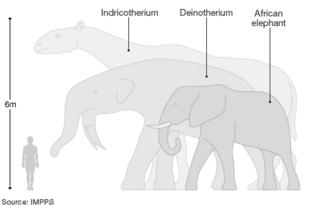 Graphic shows elephant's size compared with dinosaur ancestors