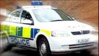 police car