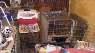 Cages used by Graham to keep dogs