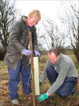 Volunteers planting trees
