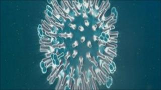swine flu virus