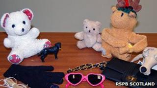 Items recovered from red kite nests
