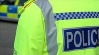 generic police picture