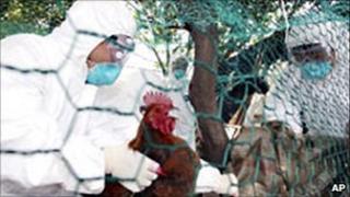 Men in bio suits prepare to slaughter chicken, 2008