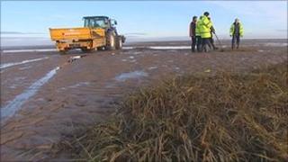 Salt marsh removal work at Cleethorpes