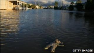 A child's toy floats in floodwaters covering a suburban street in Rockhampton