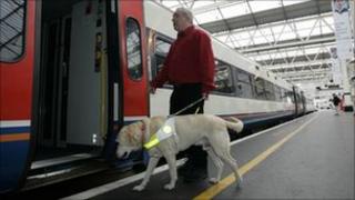 Pic: Guide Dogs for the Blind