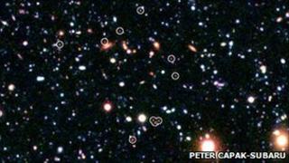 Galaxies making up the protocluster