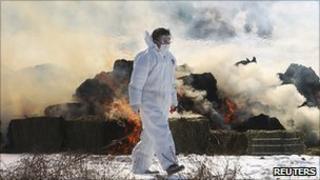 Official walks past burning livestock at a farm in Paju, South Korea, on 10 Jan 2011