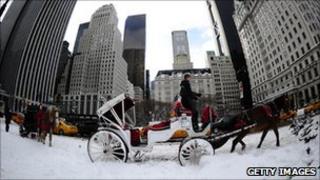 Horse-cart waits for customers in New York after heavy snow