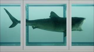 Damien Hirst's The Physical Impossibility of Death in the Mind of Someone Living