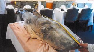 Tiger fish at Diss Tandoori, Norfolk