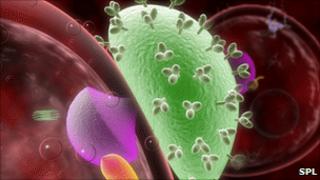 HIV virus