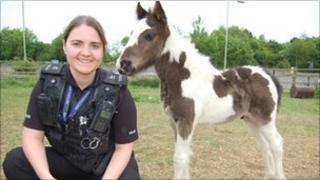 Pc Natalia Allodi and foal