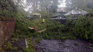 School bus hit by tree Pic: Dean Cunningham
