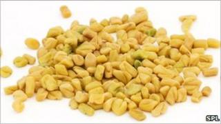 Fenugreek seeds