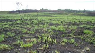 Upton Heath