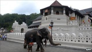 An elephant walks past a temple in the Sri Lankan city of Kandy, some 116kms from Colombo, on 8 August 2011