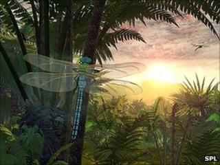 Artist's impression: Carboniferous forest
