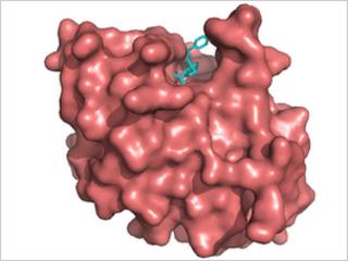 NDM-1