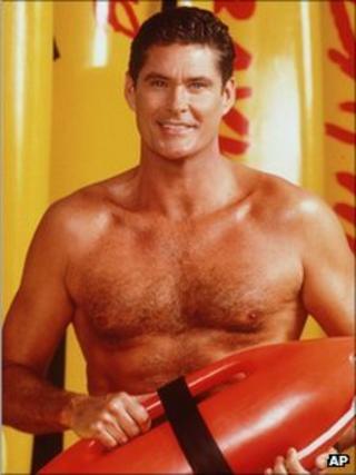 The Hoff