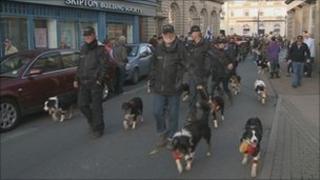 Sheepdog parade through Penrith