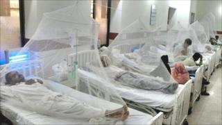 Mosquito nets cover beds of dengue patients at a Lahore hospital