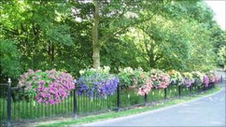 Flower baskets in Glenrothes