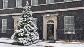 Downing Street Christmas tree