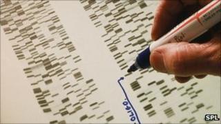 DNA sequence