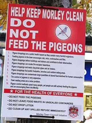 'Do not feed the pigeons' sign
