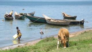 Lake Albert at Bugoma village