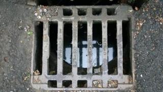 Gully (drain) cover