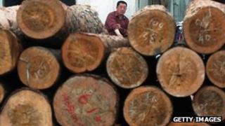 Timber logs