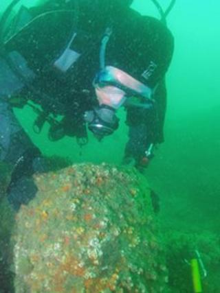 Diver exploring the Solent