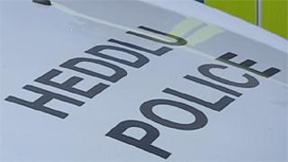 Police vehicle