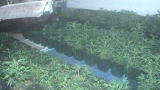 Drugs factory in Lowestoft raided by police