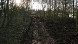 New footpath in a copse