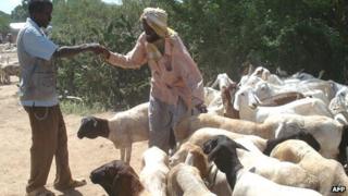 Two men agree a business deal at Afgoye market in Somalia (Archive shot)