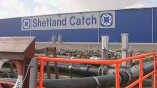 Shetland Catch factory