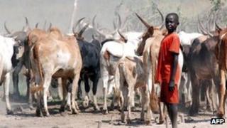 cattle herder in Jonglei (file photo)
