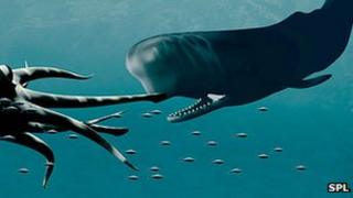 Artwork of battle between colossal squid and sperm whale