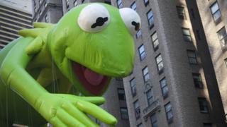Kermit in the city