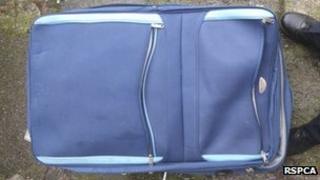 The suitcase containing the dead dog
