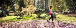 Spring scene at Westonbirt Arboretum