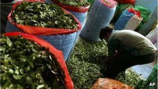 A man fills bags with coca leaves in La Paz, Colombia (file image)