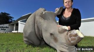 Susan Lottering with the dehorned fibreglass rhino