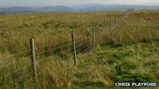 The fence in the Hepste Valley, Brecon Beacons