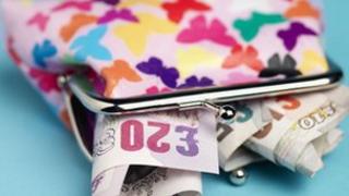 Purse with cash