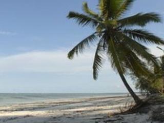 A beach in Zanzibar, Tanzania
